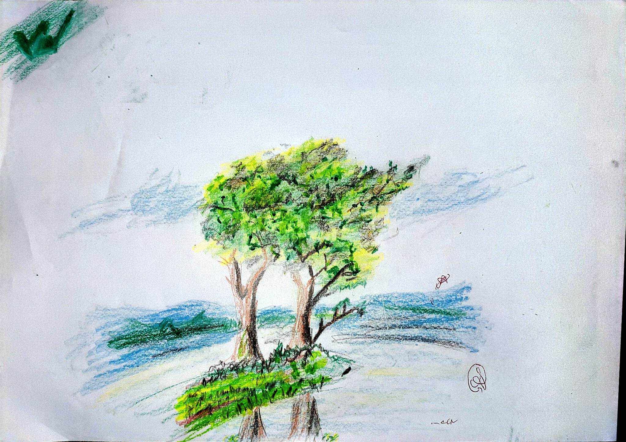 My 1st crayon color artwork showing trees and a pond and sky